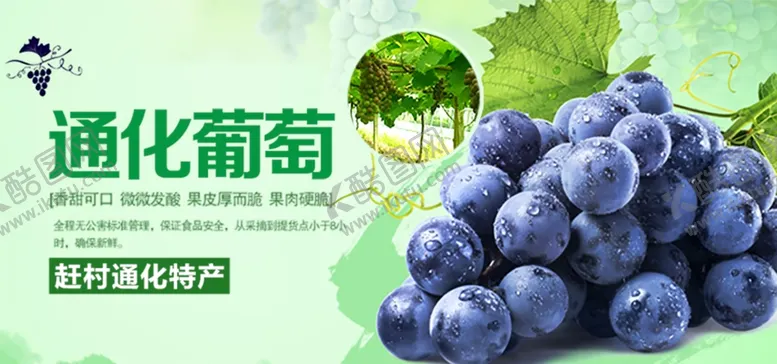 编号：23408507010349254964【酷图网】源文件下载-水果水果海报水果素材蔬菜