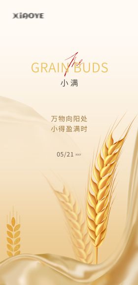 小满节气金色麦穗海报