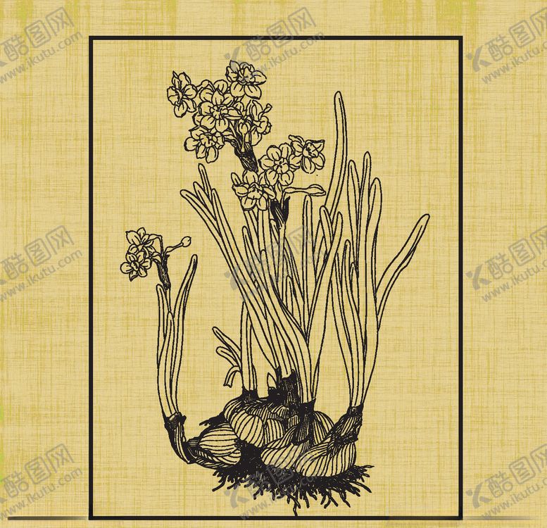 编号：95151010301619394869【酷图网】源文件下载-水仙