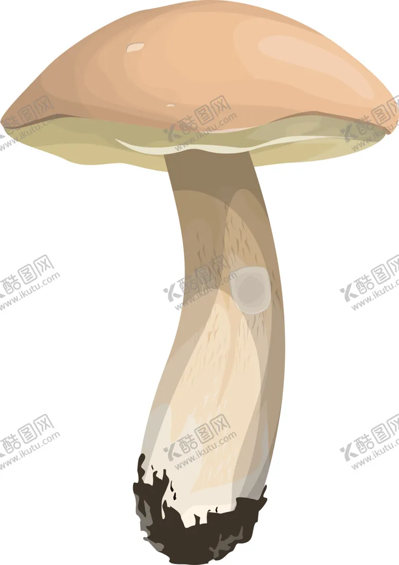 编号：86835602081943356945【酷图网】源文件下载-菌类植物