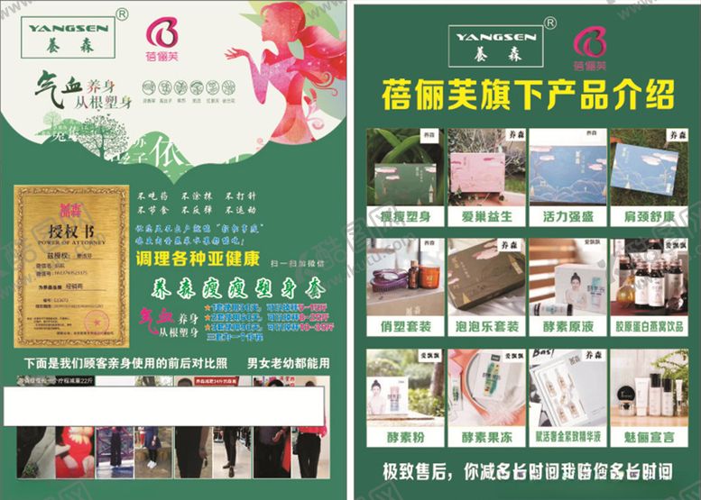 编号：76243409230309506697【酷图网】源文件下载-蓓蕾福养森传单绿色养生