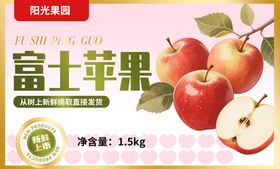 苹果包装