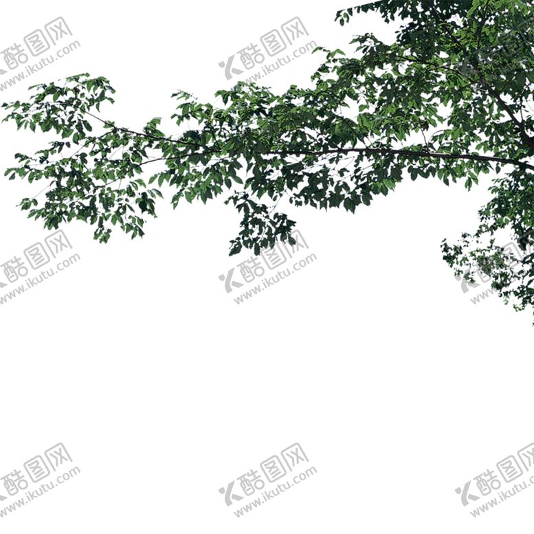 编号：32517910201923271347【酷图网】源文件下载-绿色装饰