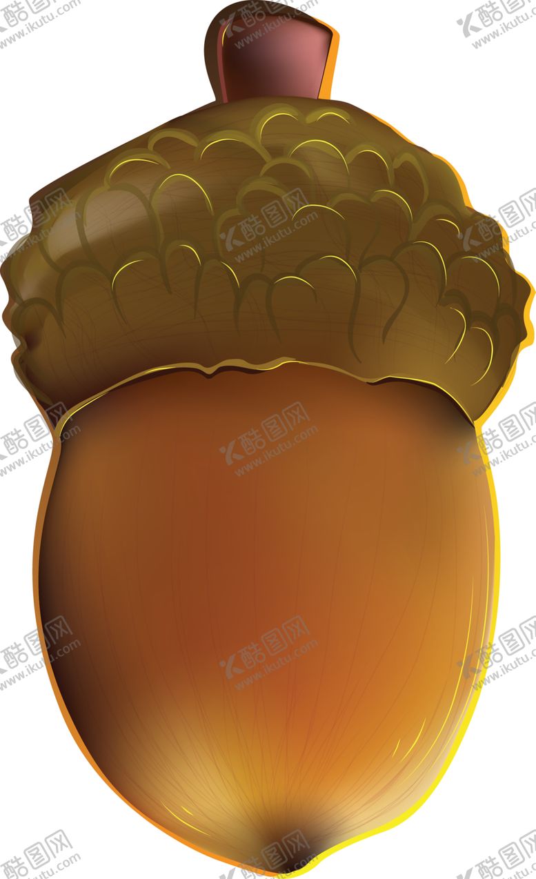 编号：97282710230731149564【酷图网】源文件下载-透明免扣橡果图片