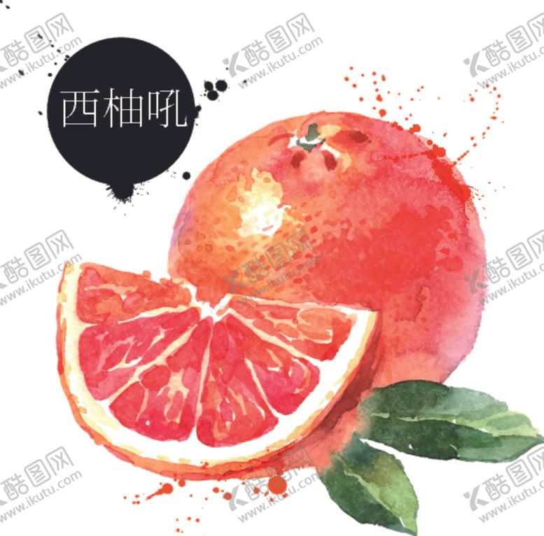 编号：56776307010858019192【酷图网】源文件下载-手绘西柚插画彩绘水果矢量素材