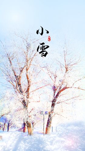 白色简洁小雪节气24节气闪屏