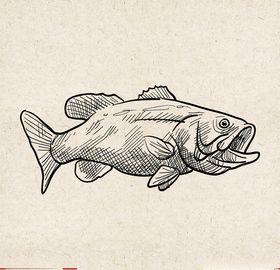 矢量动物矢量植物插画手绘