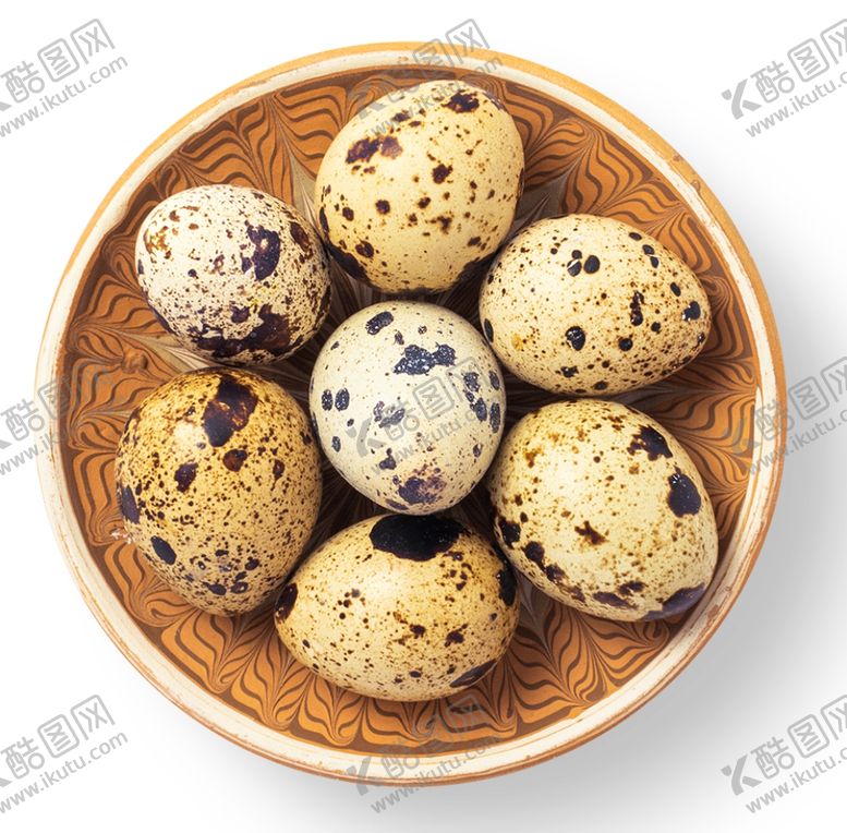 编号：36613505062010598138【酷图网】源文件下载-鹌鹑蛋
