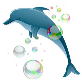 海豚
