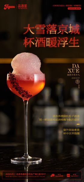 大雪节气酒吧海报