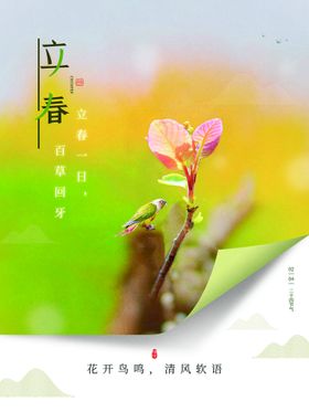 立春分手机海报中国传统节气微信