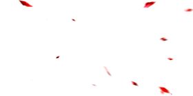 花瓣