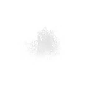 水花