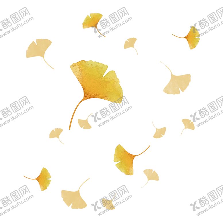 编号：60791705151236517147【酷图网】源文件下载-秋天银杏叶