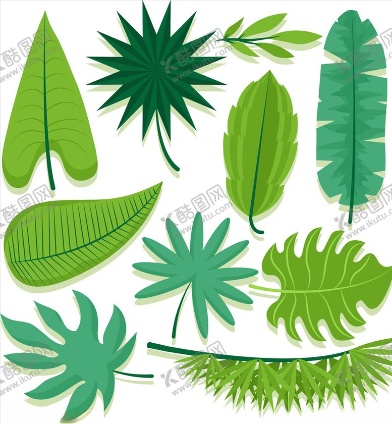 编号：23020510061121471917【酷图网】源文件下载-矢量绿色树叶