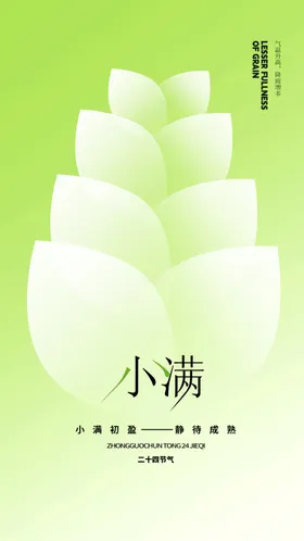 小满海报节日地产节气夏至