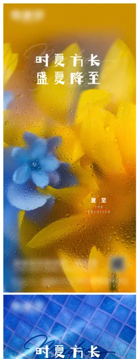 夏至节气海报