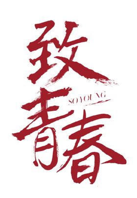 致青春