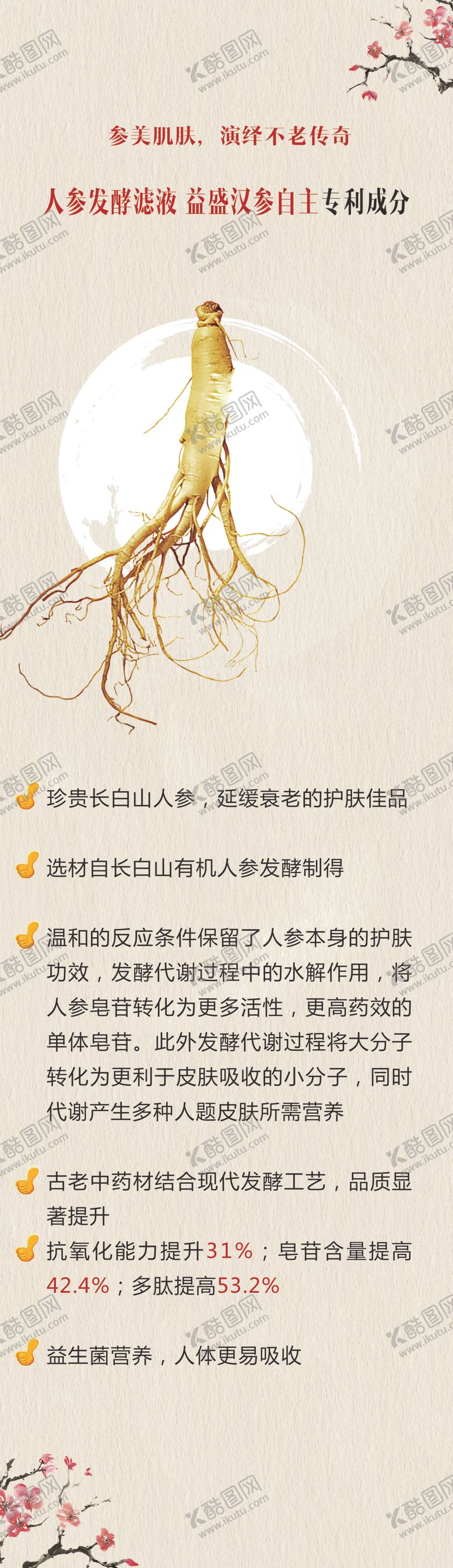 编号：55438010142000012135【酷图网】源文件下载-人参