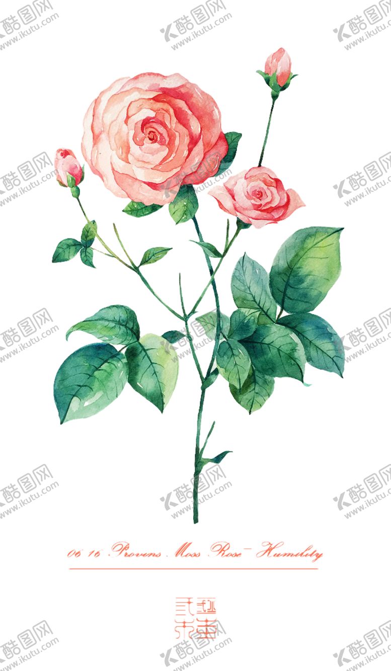 编号：38998906270520026483【酷图网】源文件下载-玫瑰花