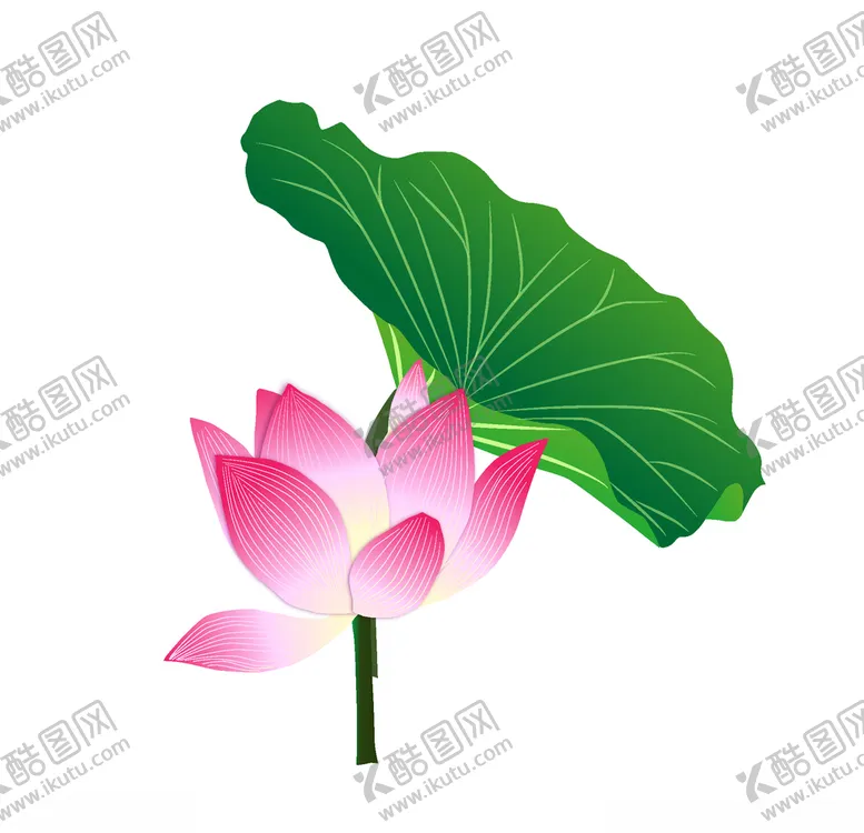 编号：57277403290331359371【酷图网】源文件下载-粉色荷花插画