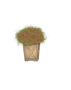 花盆卡通满天星浆果