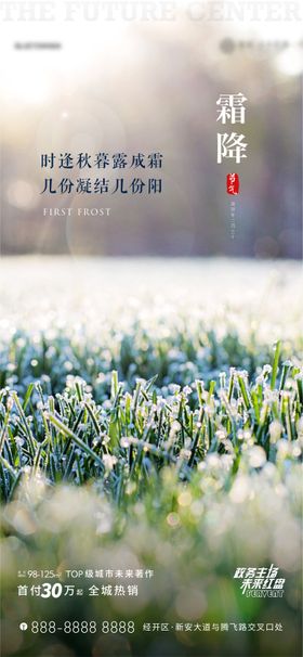 霜降海报二十四节气阳光创意