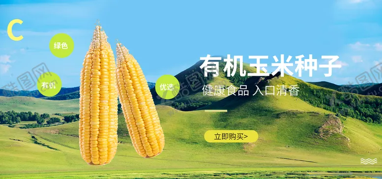 编号：09361710052140264135【酷图网】源文件下载-有机玉米种子