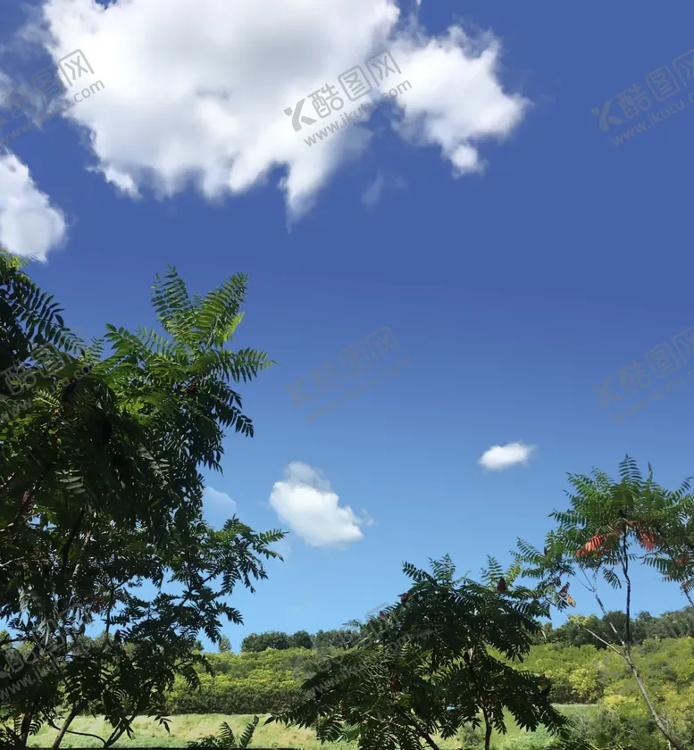 编号：24306604181617585061【酷图网】源文件下载-蓝天白云风景分层