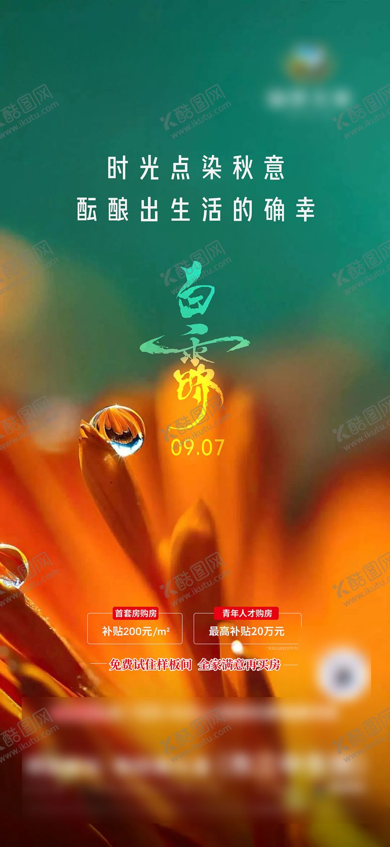 编号：15640607132317469550【酷图网】源文件下载-白露海报
