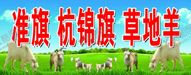 编号：89620710110248406644【酷图网】源文件下载-杭锦旗草地羊农村羊山羊