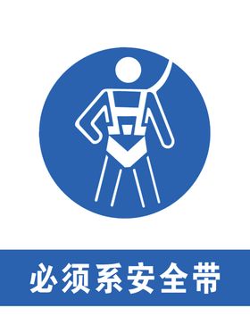 必须系安全带