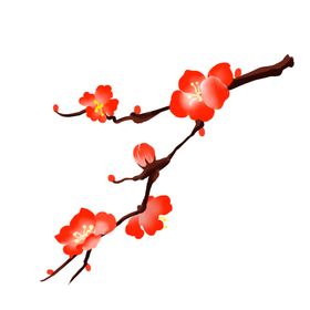 中国风水墨梅