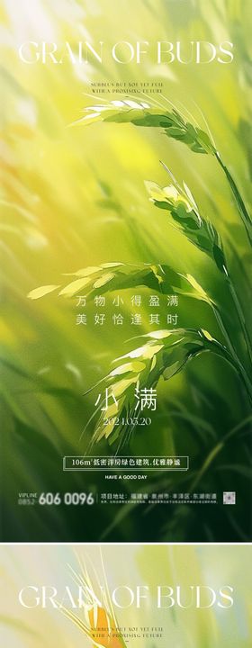 小满麦穗油画海报