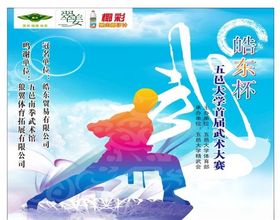 武术海报
