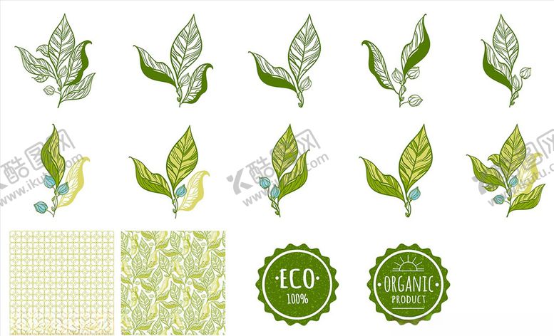 编号：40195010030235441684【酷图网】源文件下载-手绘植物花纹