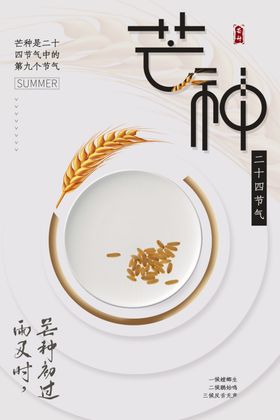 芒种海报