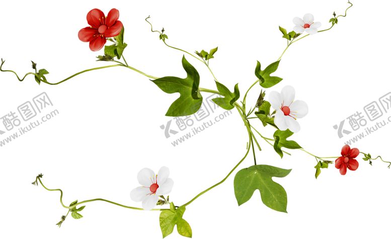 编号：90636910032220269152【酷图网】源文件下载-绿色背景