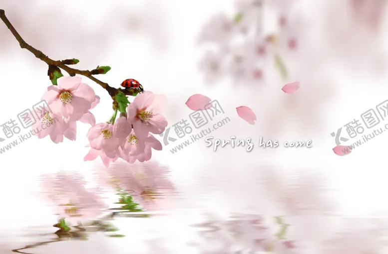 编号：23427202051738124439【酷图网】源文件下载-浪漫樱花