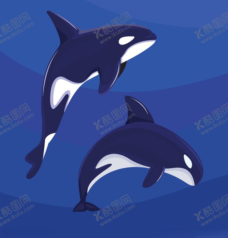 编号：79003610101759004531【酷图网】源文件下载-海豚矢量素材