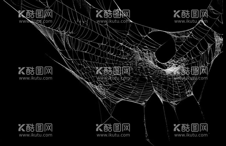 编号：41373411250630583377【酷图网】源文件下载-蜘蛛网