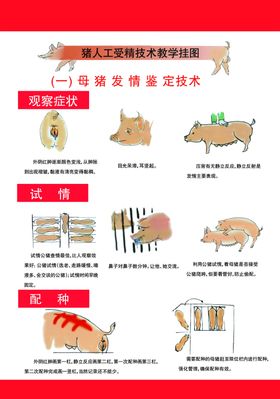 猪场管理图