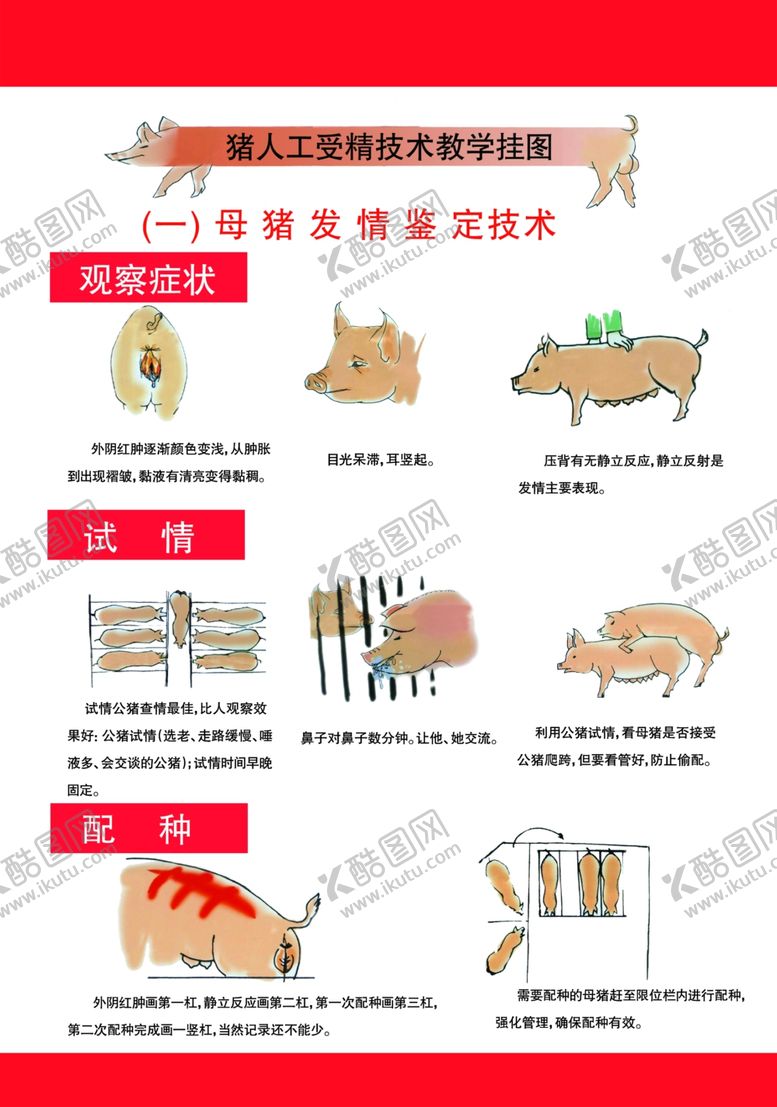 编号：59199305010933515609【酷图网】源文件下载-猪场管理图
