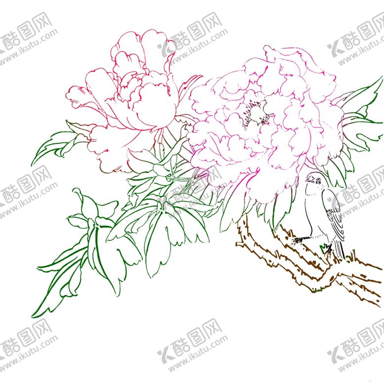 编号：60196905122336404983【酷图网】源文件下载-高清透明工笔画线稿之牡丹小品