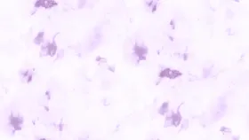 扎染数码印花大牌花水彩