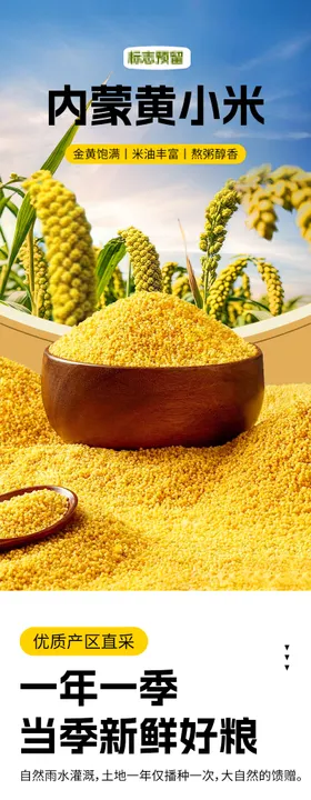 黄小米促销电商详情页