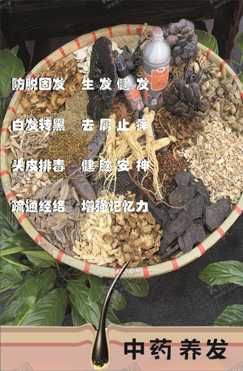 编号：33311606270741322562【酷图网】源文件下载-养发头发秀发生发