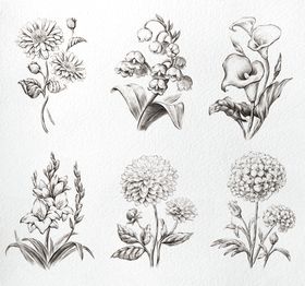 蓝绿色调几何花卉图案集合