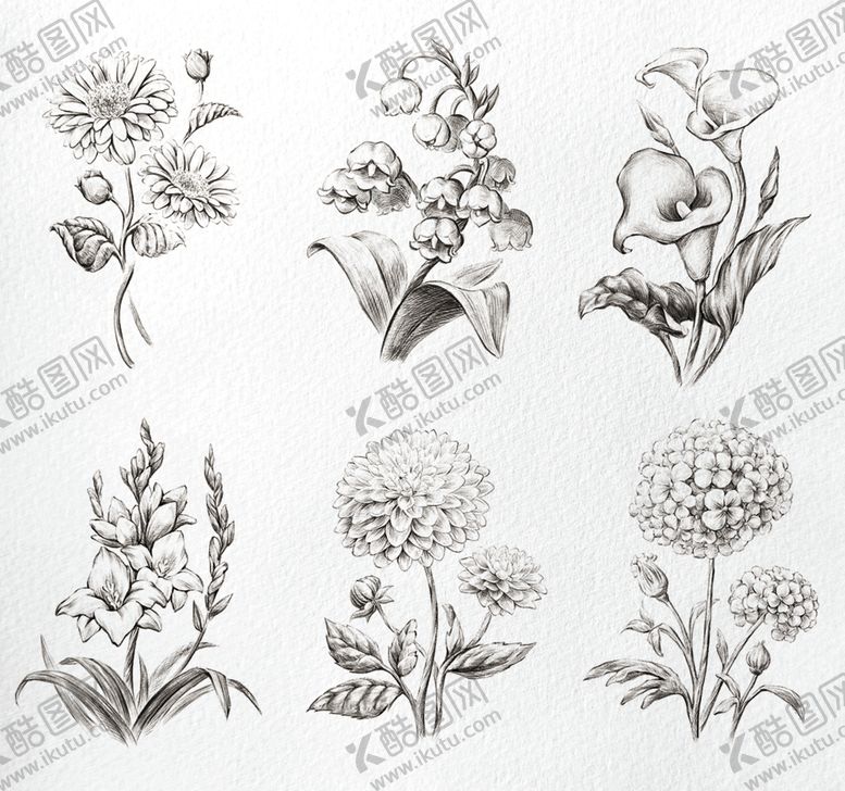 编号：78621411012324359752【酷图网】源文件下载-手绘花卉图案集合