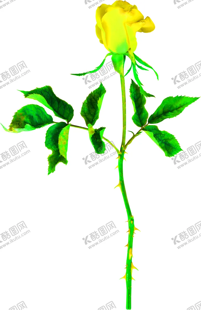 编号：46504006302003333220【酷图网】源文件下载-花素材